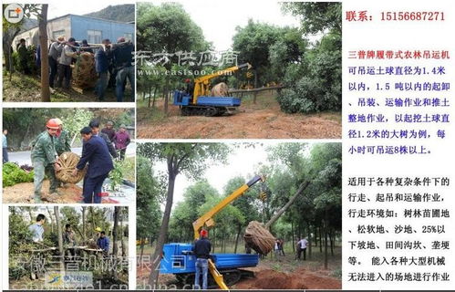 供應(yīng)高效苗木吊裝機 三普牌履帶式農(nóng)林吊運機助力園林作業(yè)現(xiàn)代化